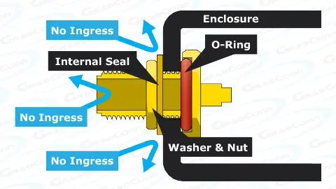 bulkhead graphic